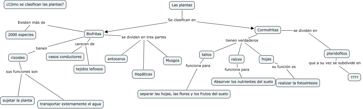 Clasificación De Las Platas ¿cómo Se Clasifican Las Plantas